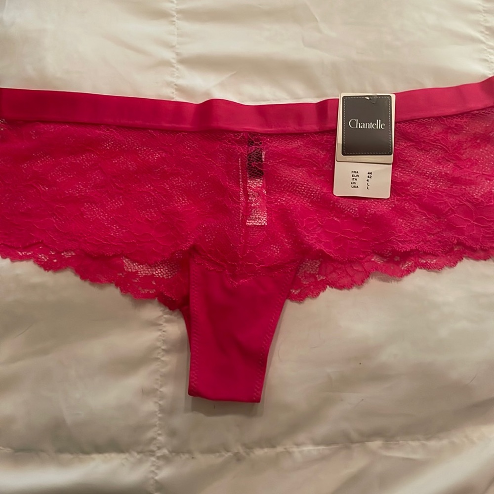 Hot Pink cheeky panties. Size Large. New with tags.